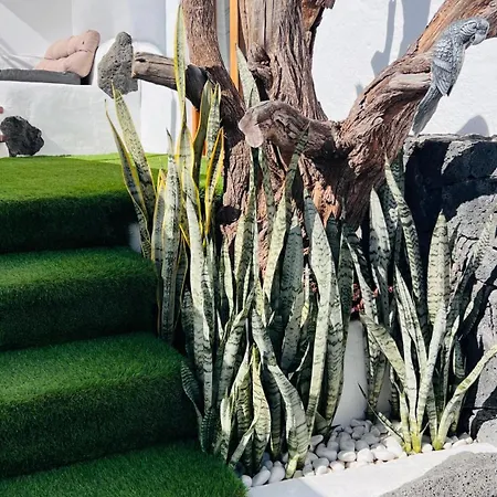 Refugio De Luz Y Tranquilidad En * Nazaret